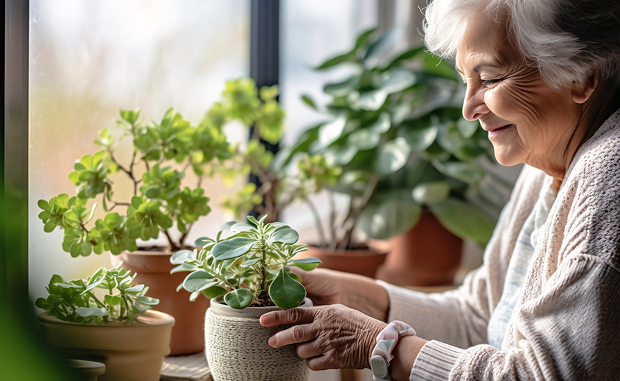 	Balcony or patio gardening